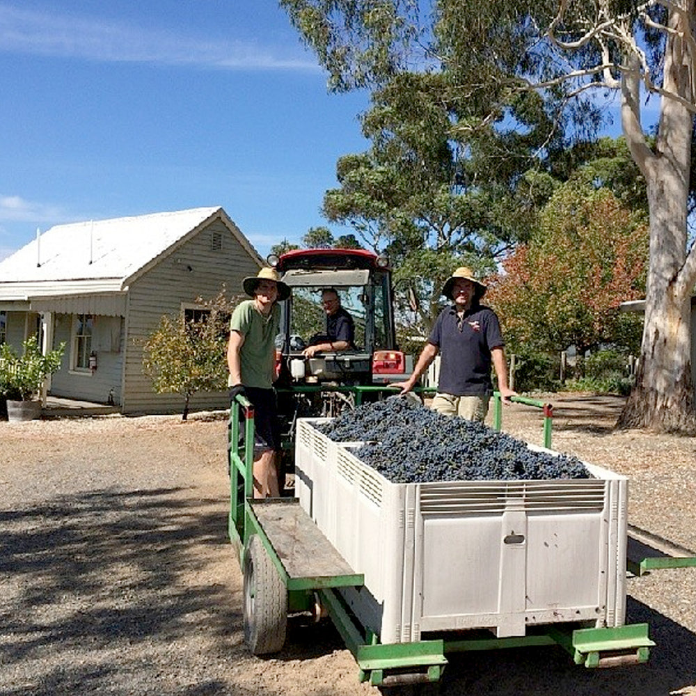 Mount Mary Quintet 2011