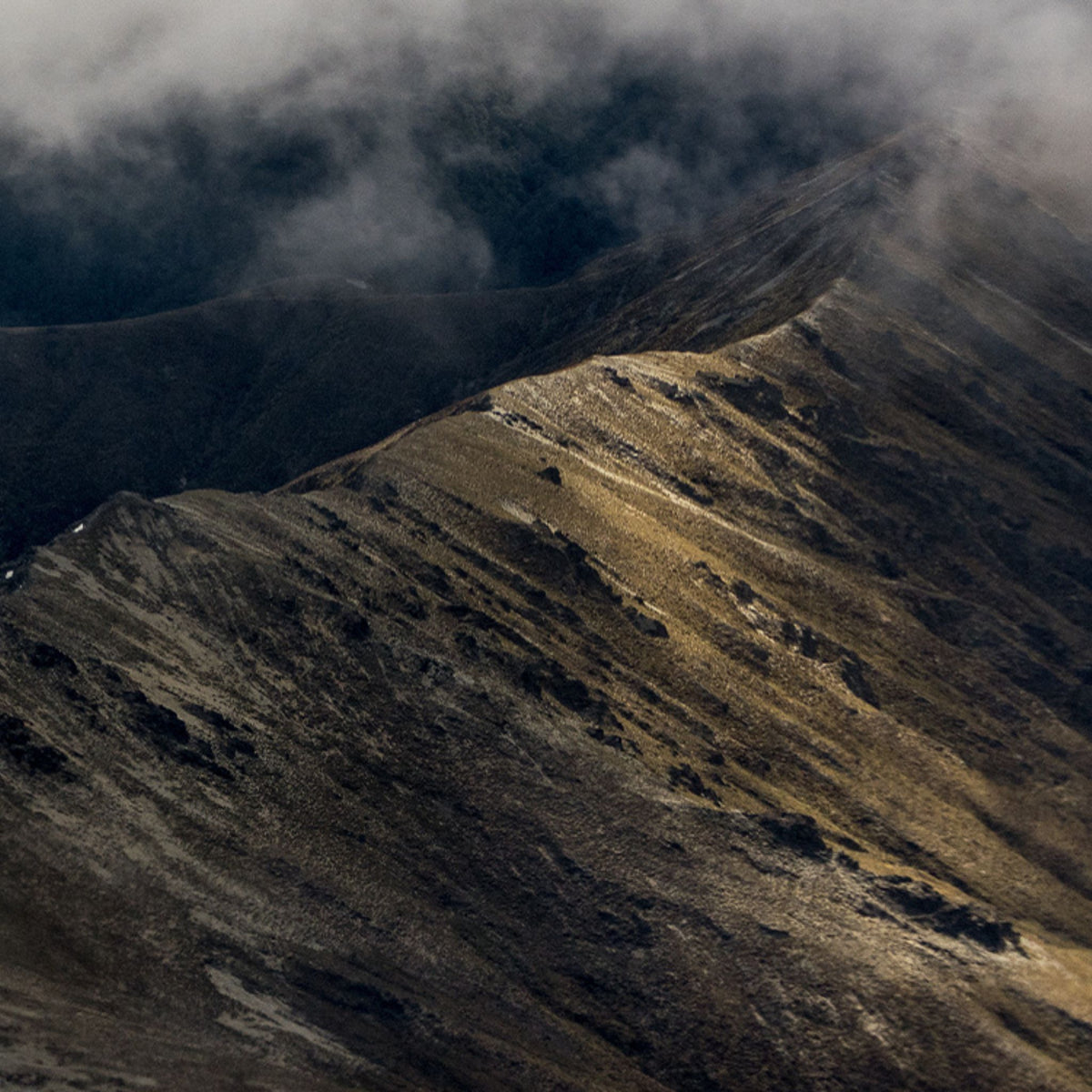Nanny Goat is positioned in Central Otago at a latitude of 45° South, this is the most southerly wine region in the world - Kent Street Cellars