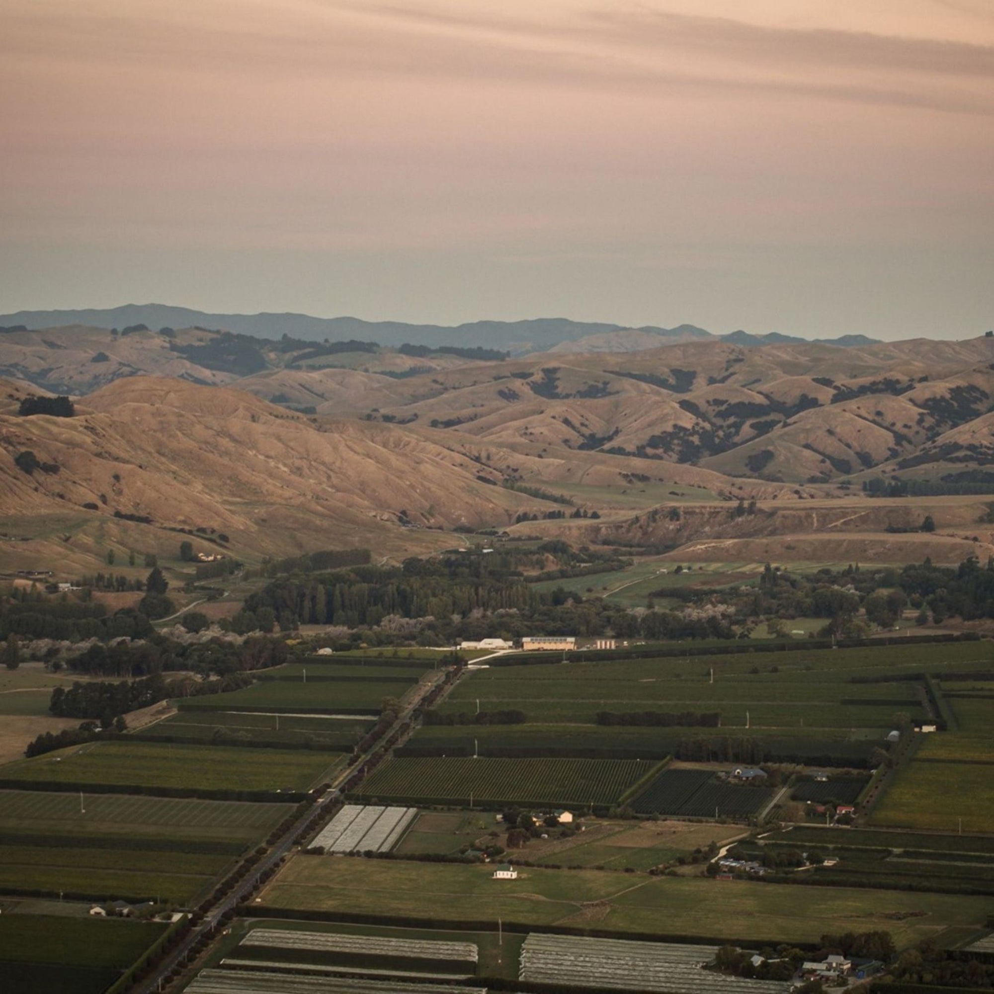 Te Kairanga Estate Pinot Noir 2022 - Kent Street Cellars