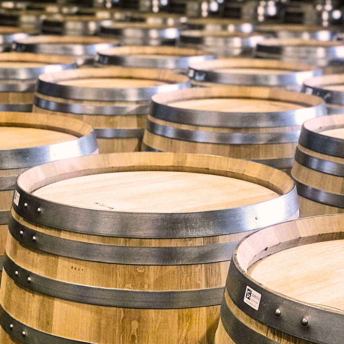 Oak selection is an integral part of the winemaking process. The flavor imparted from the first and second use of French oak barriques, made from fine-grained woods selected from forests in the center of France, complements our wines. - Kent Street Cellars