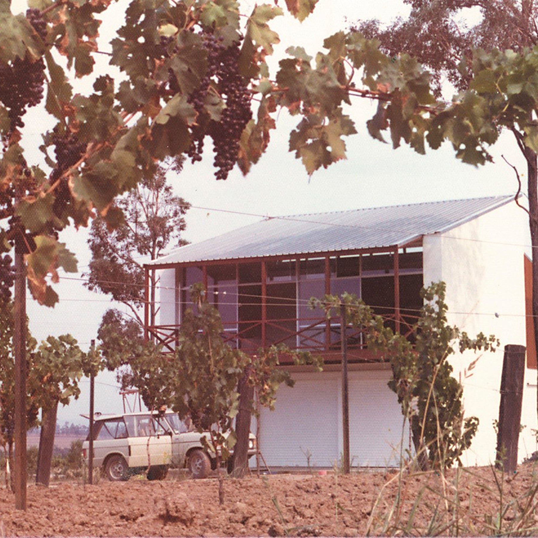 Brokenwood Early Days Founded by Tony Albert, John Beeston and James Halliday - Kent Street Cellars