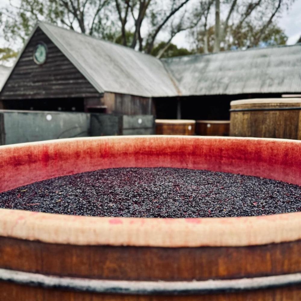 Rockford Open Vat Ferment - Kent Street Cellars