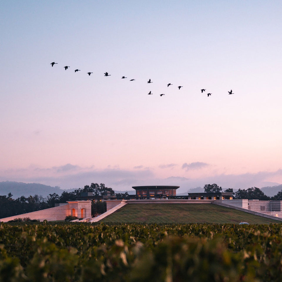 Opus One brand story