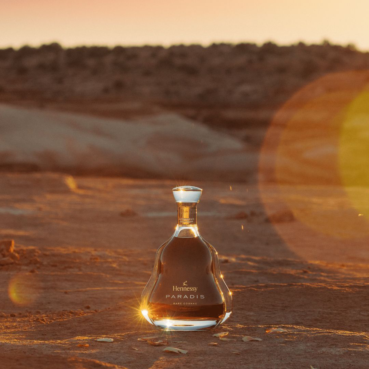 Hennessy Paradis Cognac 700ml (Oak Gift Box)