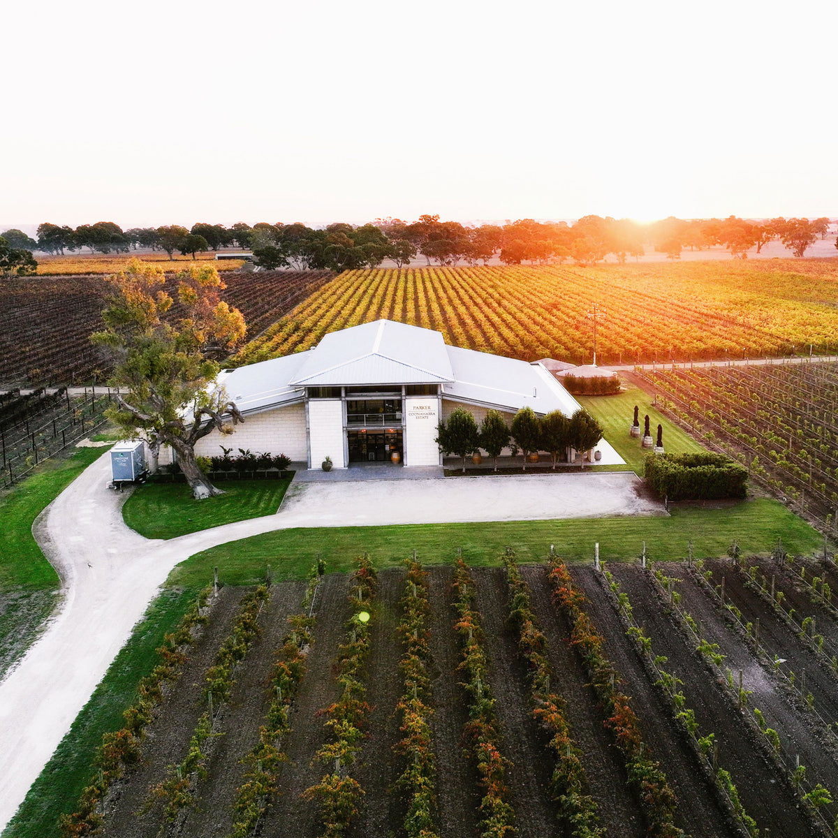 Parker Coonawarra Estate First Growth Cabernet Sauvignon 2020 - Kent Street Cellars