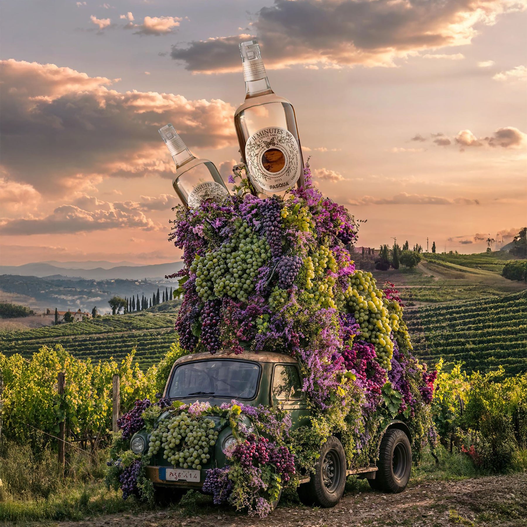 Pasqua 11 Minutes Rosé 2023