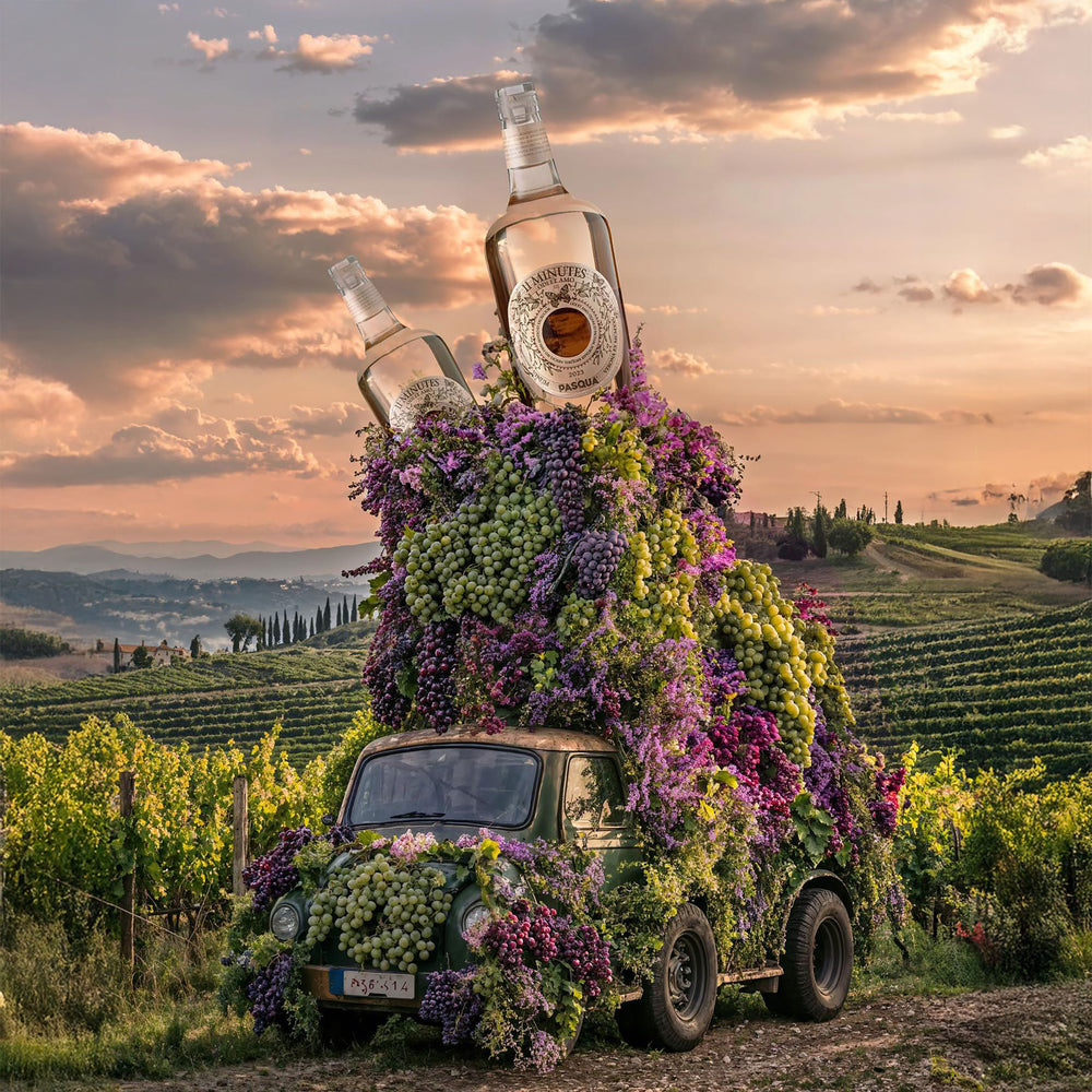 Pasqua 11 Minutes Rosé 2023