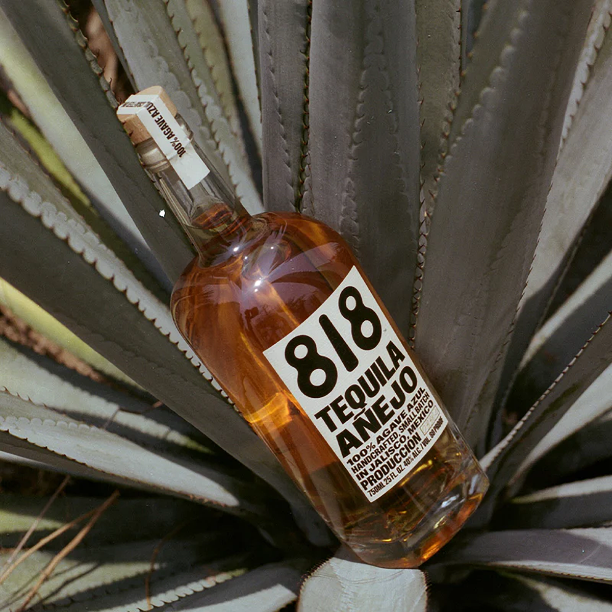 818 Tequila Anejo 700ml - Kent Street Cellars