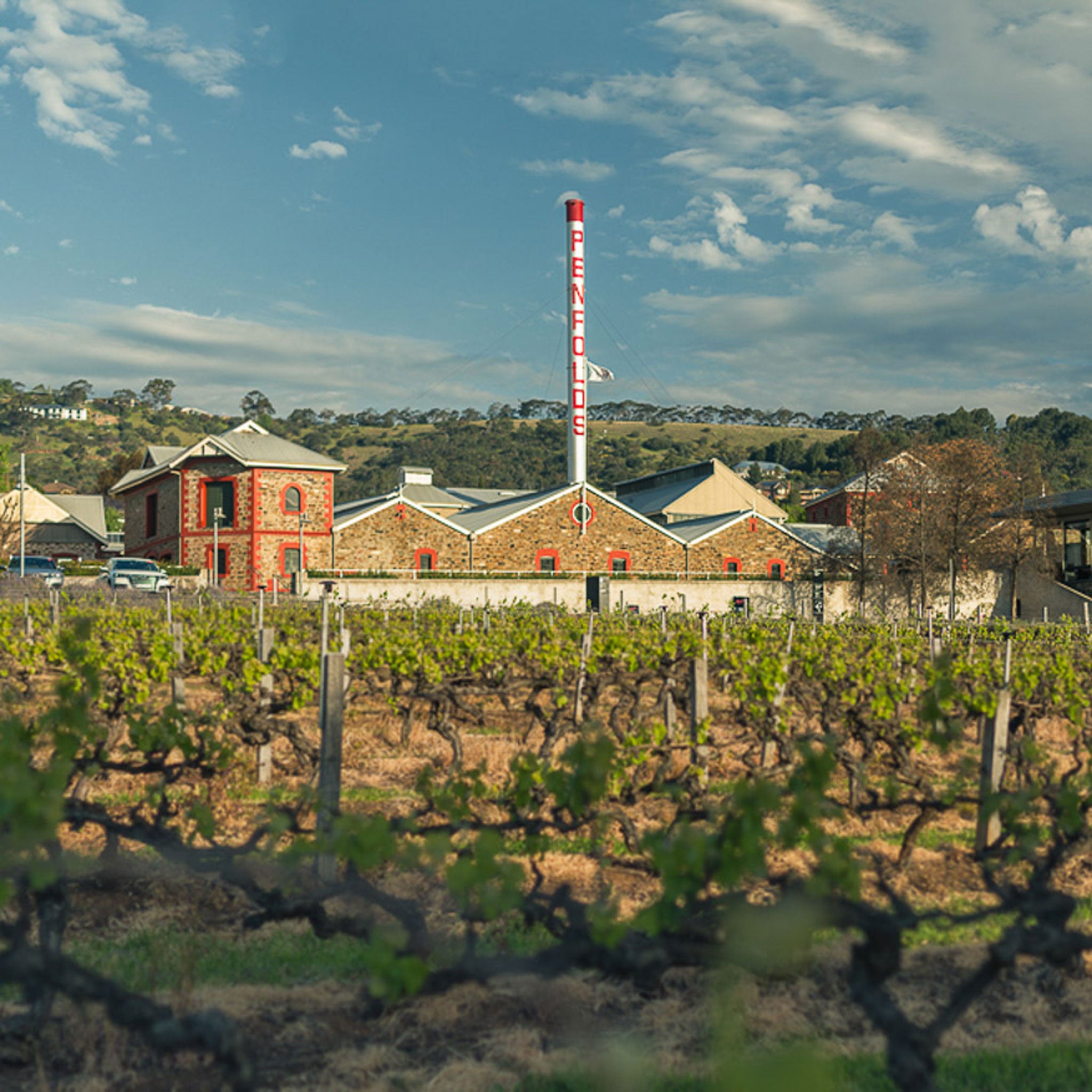 Penfolds Bin 95 Grange Shiraz 1991