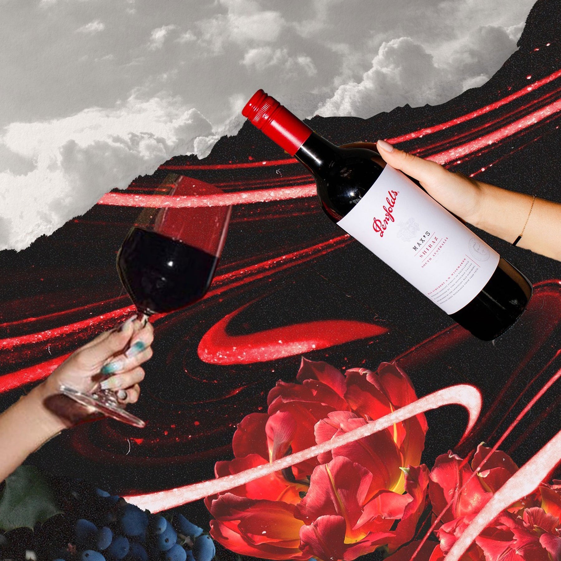 Penfolds Max's Shiraz 2023