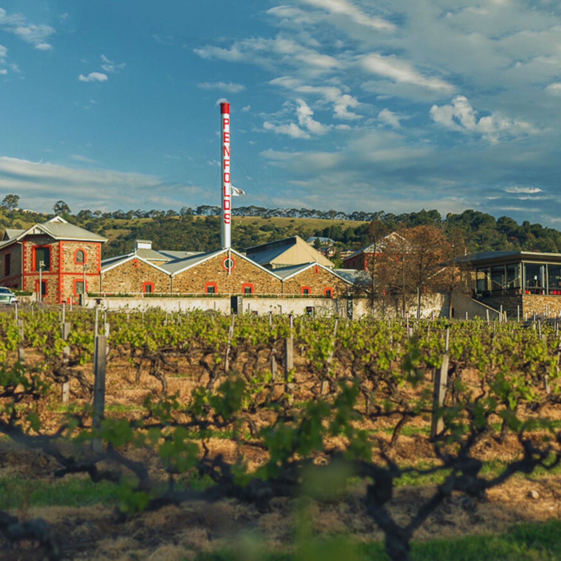 Penfolds Winery - Kent Street Cellars