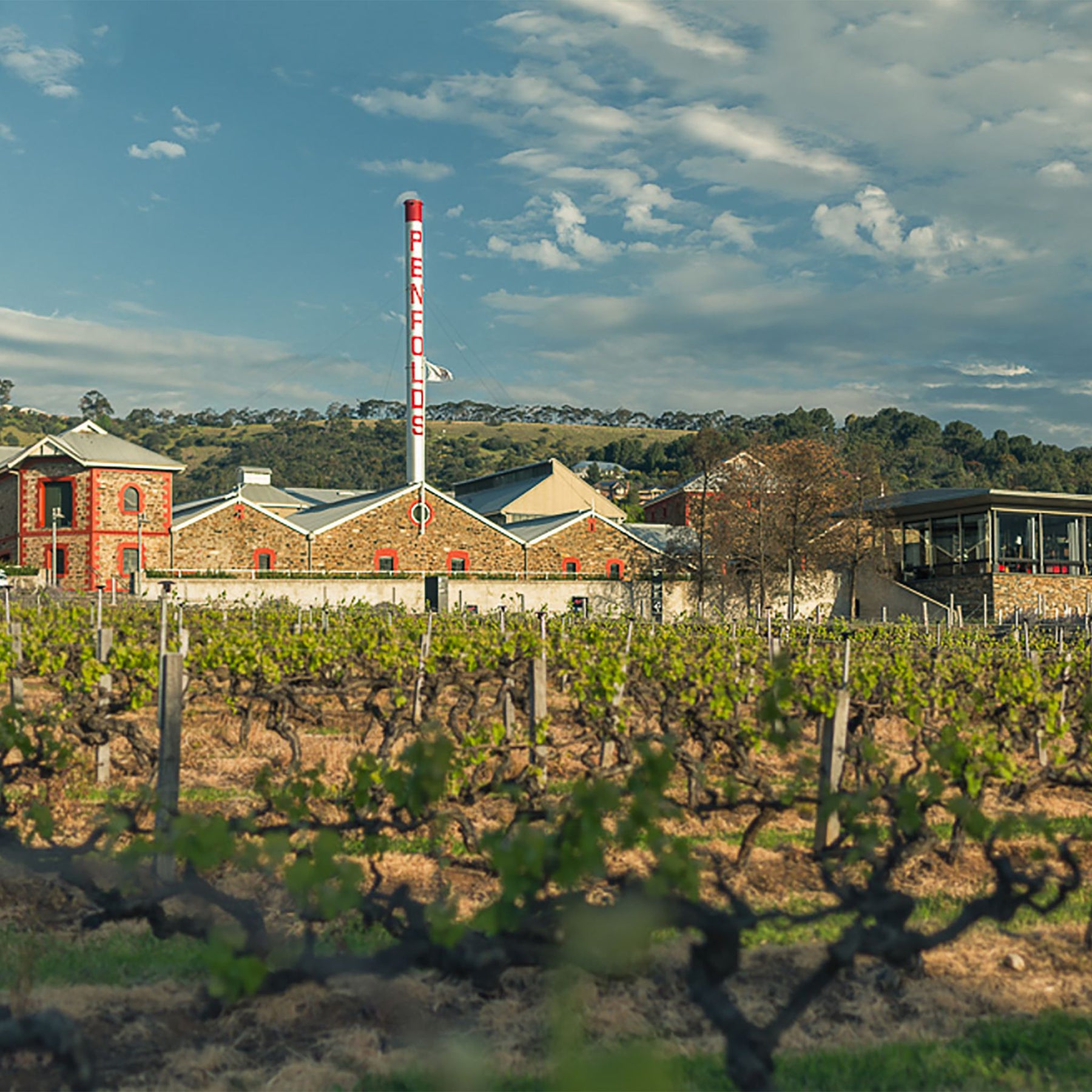 Penfolds Winery Barossa - Kent Street Cellars
