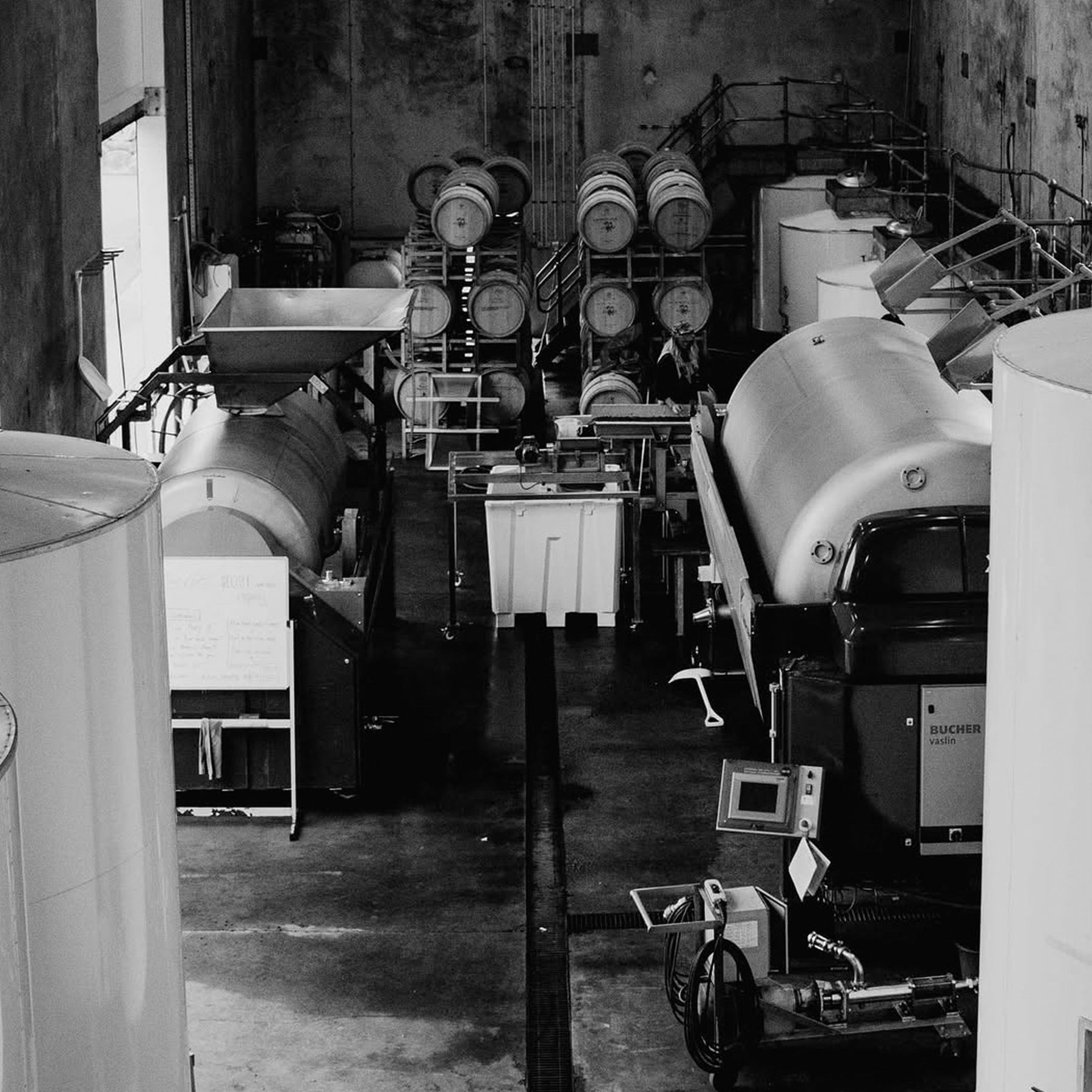 Pierro Fire Gully Chardonnay 2024