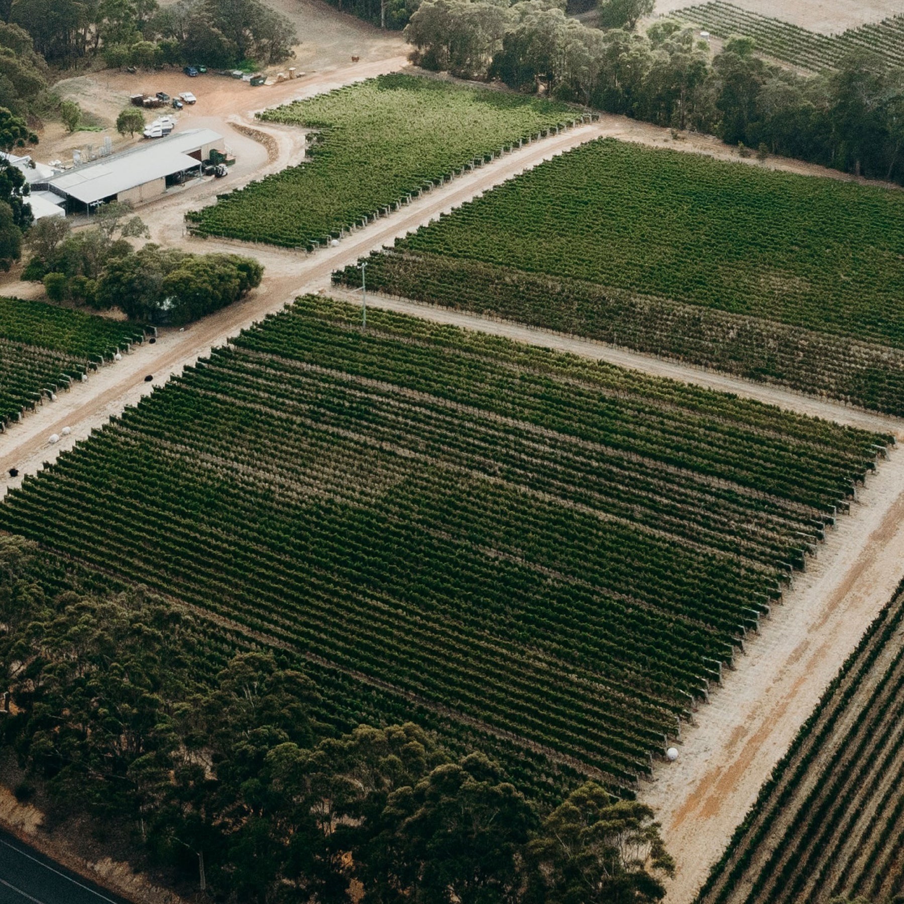 Pierro Chardonnay 2023