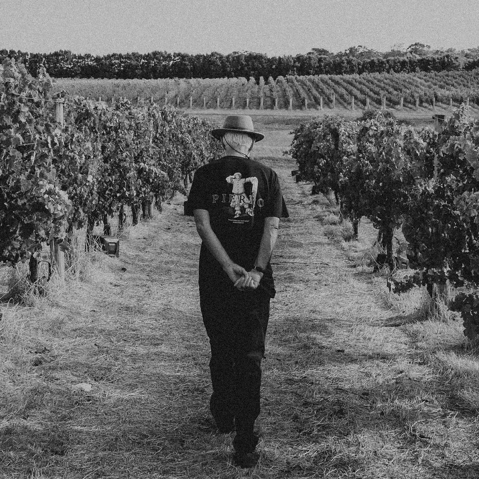 Pierro brand story