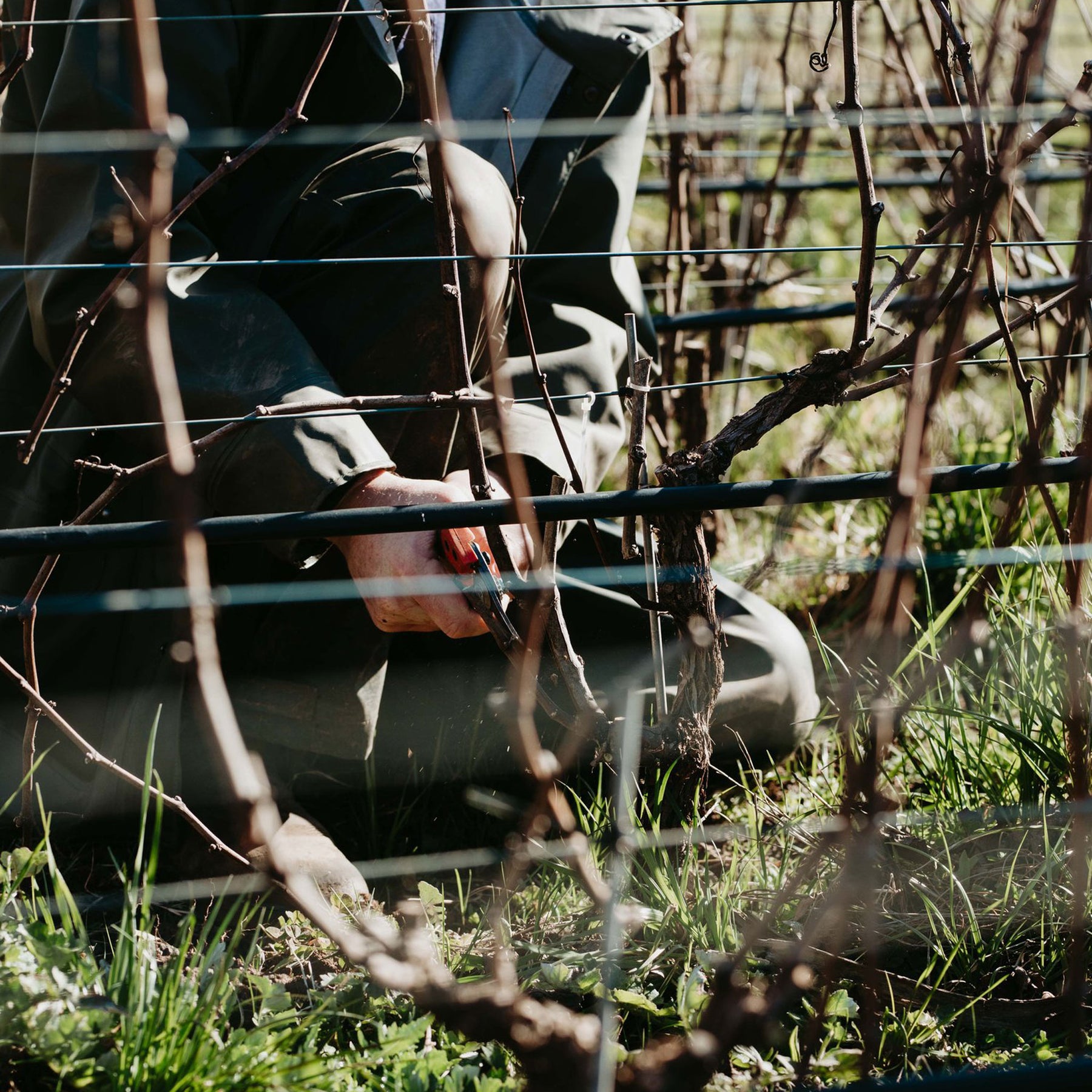 Place of Changing Winds Harcourt Marsanne Roussanne 2022 - Kent Street Cellars