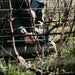 Place of Changing Winds Harcourt Marsanne Roussanne 2022 - Kent Street Cellars