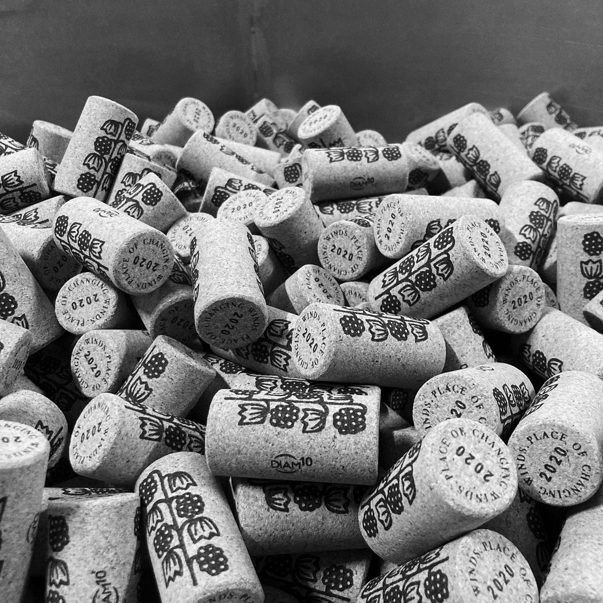 Place of Changing Winds Beyond The Forest Pinot Noir 2022