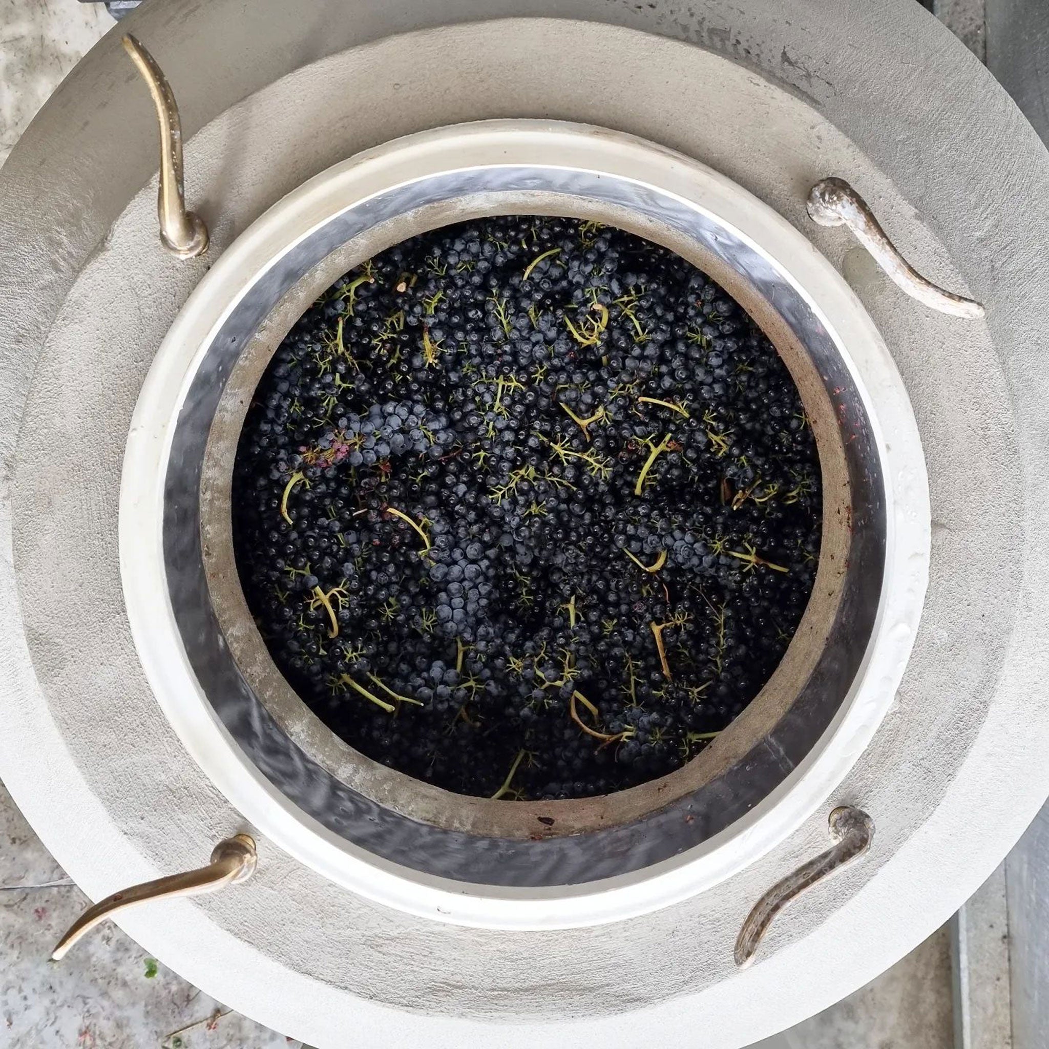 Place of Changing Winds Beyond The Forest Pinot Noir 2022