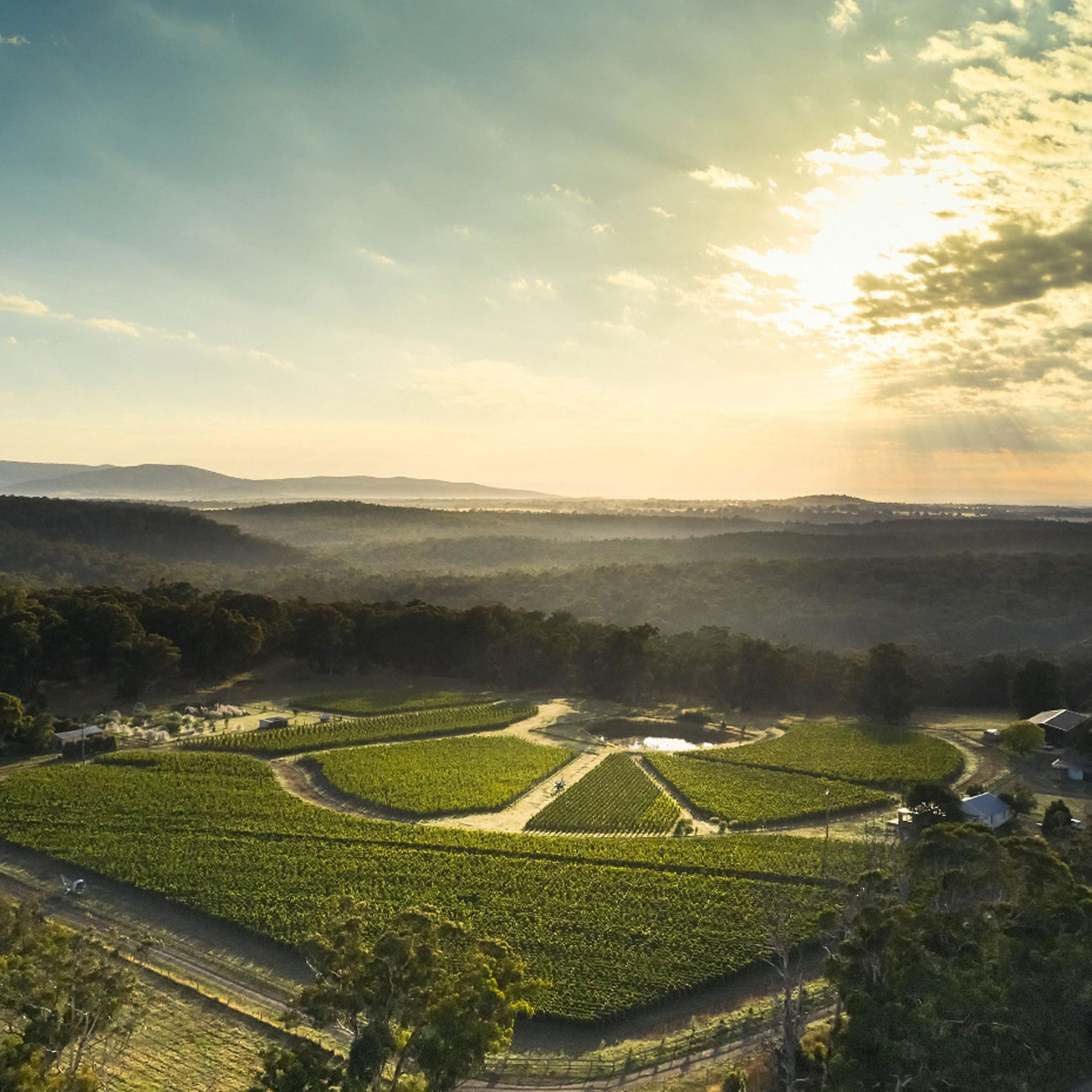 Place of Changing Winds Annus Horribilis Pinot Noir 2020 - Kent Street Cellars
