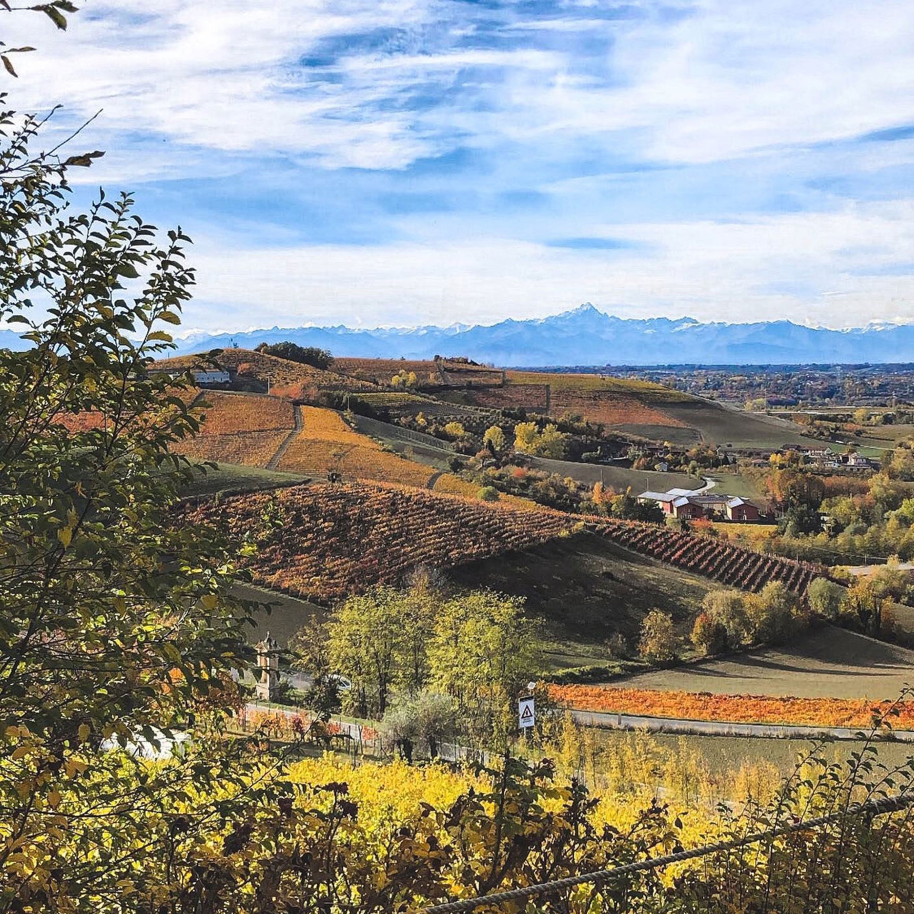 Poderi Luigi Einaudi Dogliano Dolcetto DOCG 2022 - Kent Street Cellars