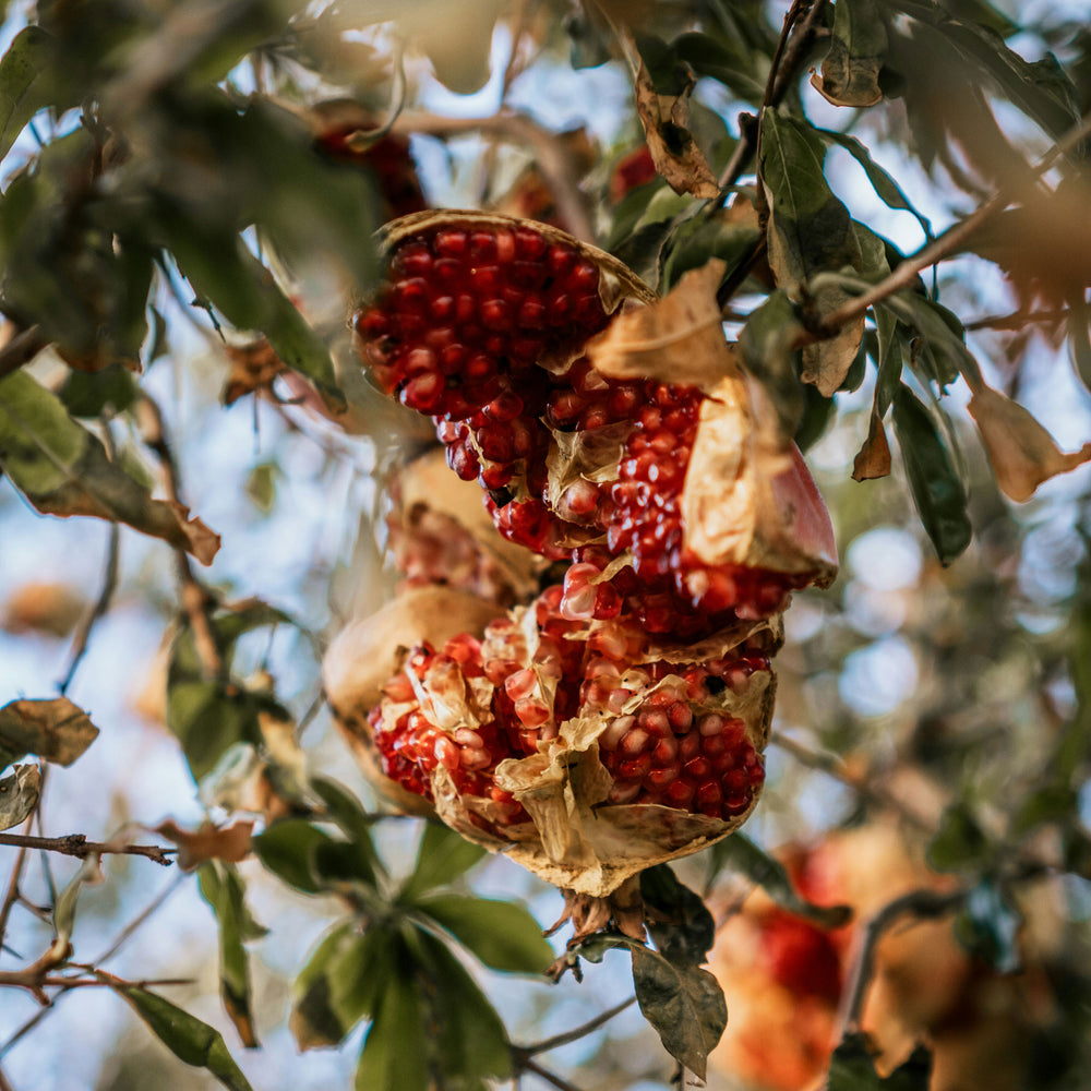 EVA Distillery Grenade Pomegranate Liqueur 500ml