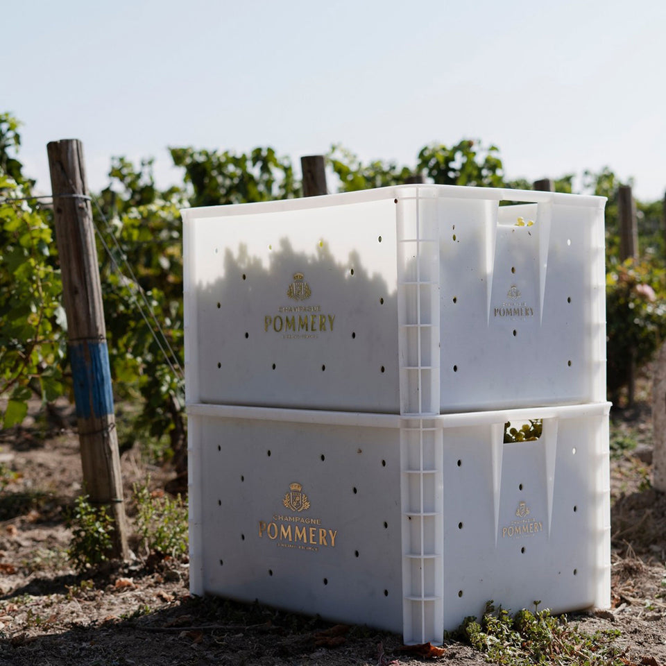 The Vineyard brand story