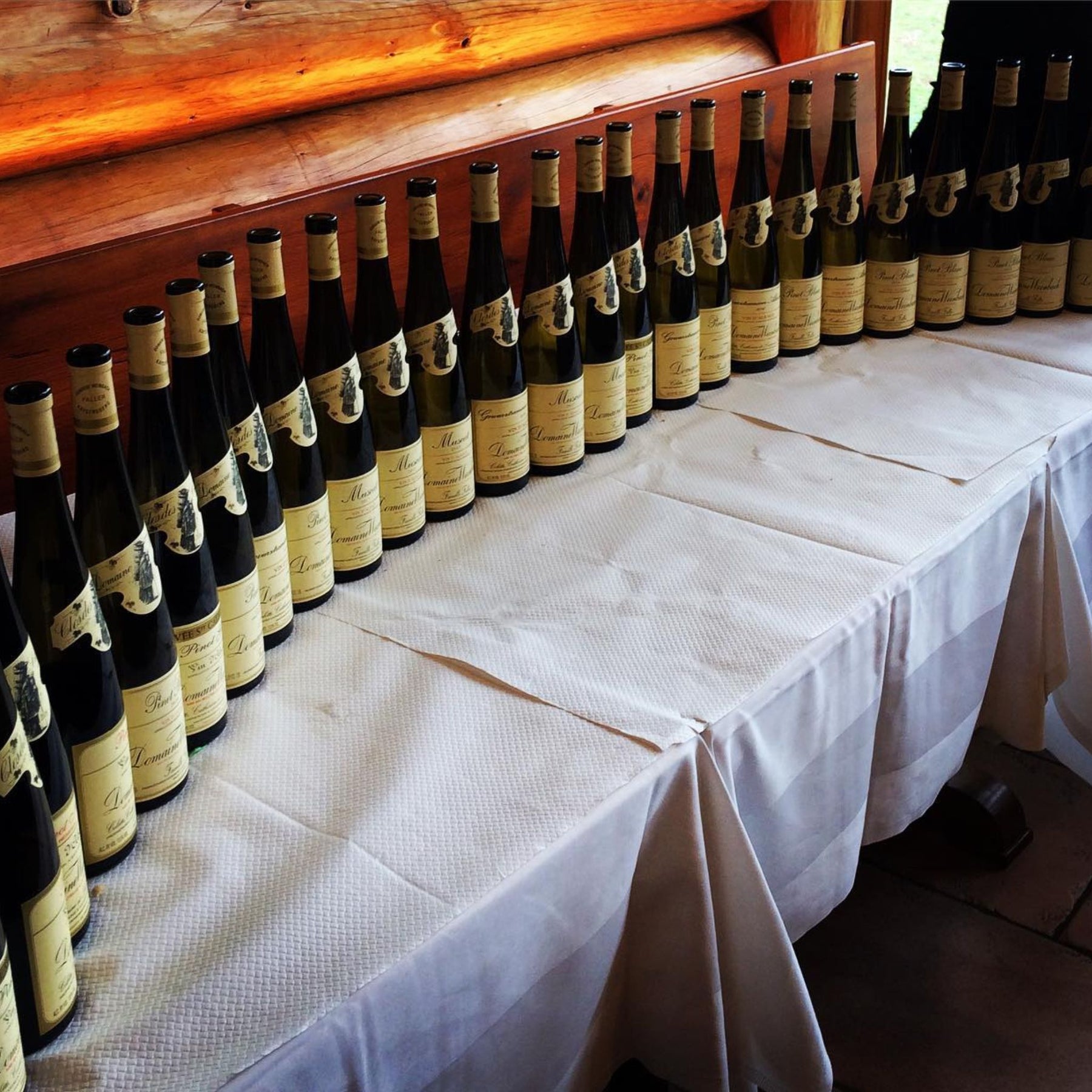 Post Harvest Team Celebrations - Kent Street Cellars