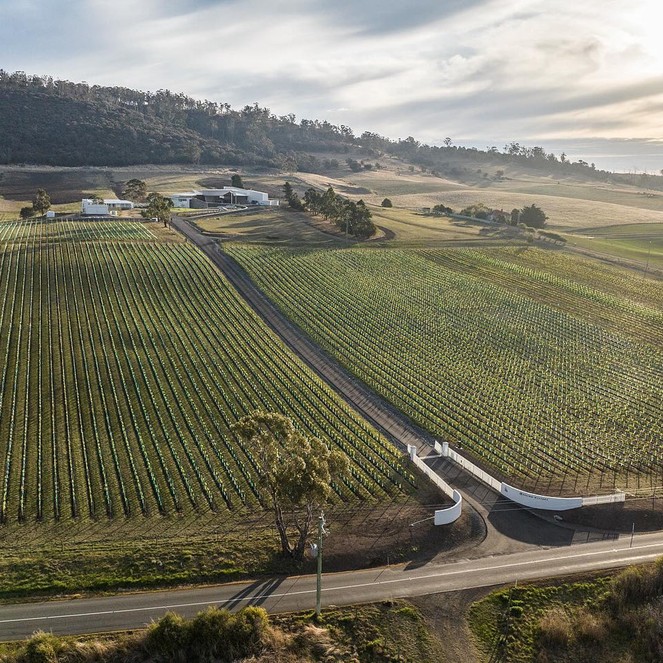 The Vineyard brand story