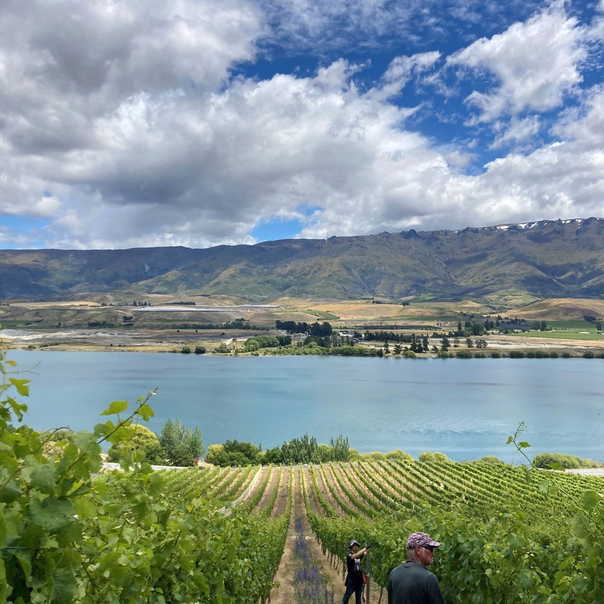 Prophet's Rock Cuvée Aux Antipodes Blanc 2022