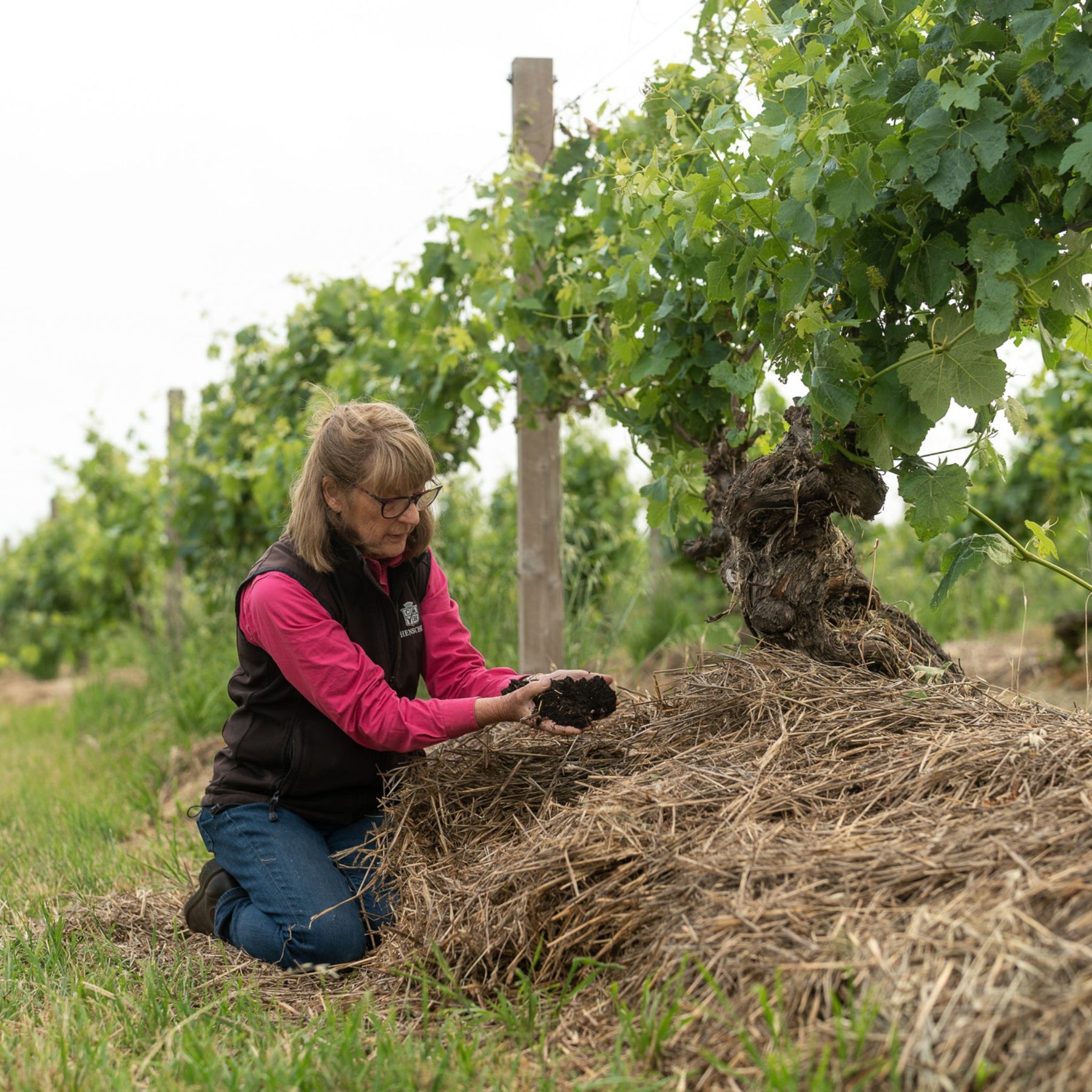 Prue Henschke Farms Organic and Biodynamically - Kent Street Cellars