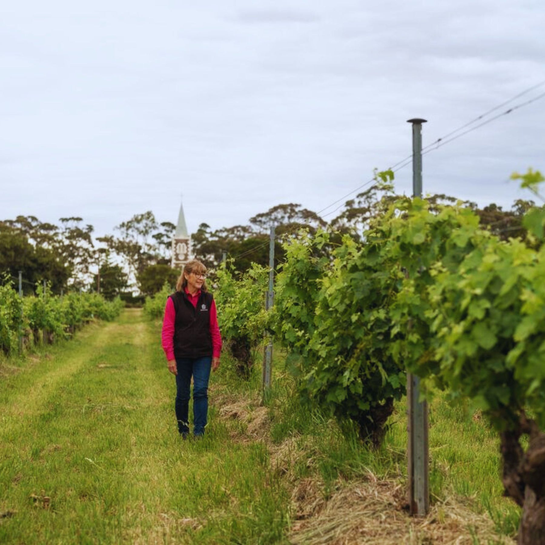 PrueHenschke at Hill of Grace Vineyard - Kent Street Cellars