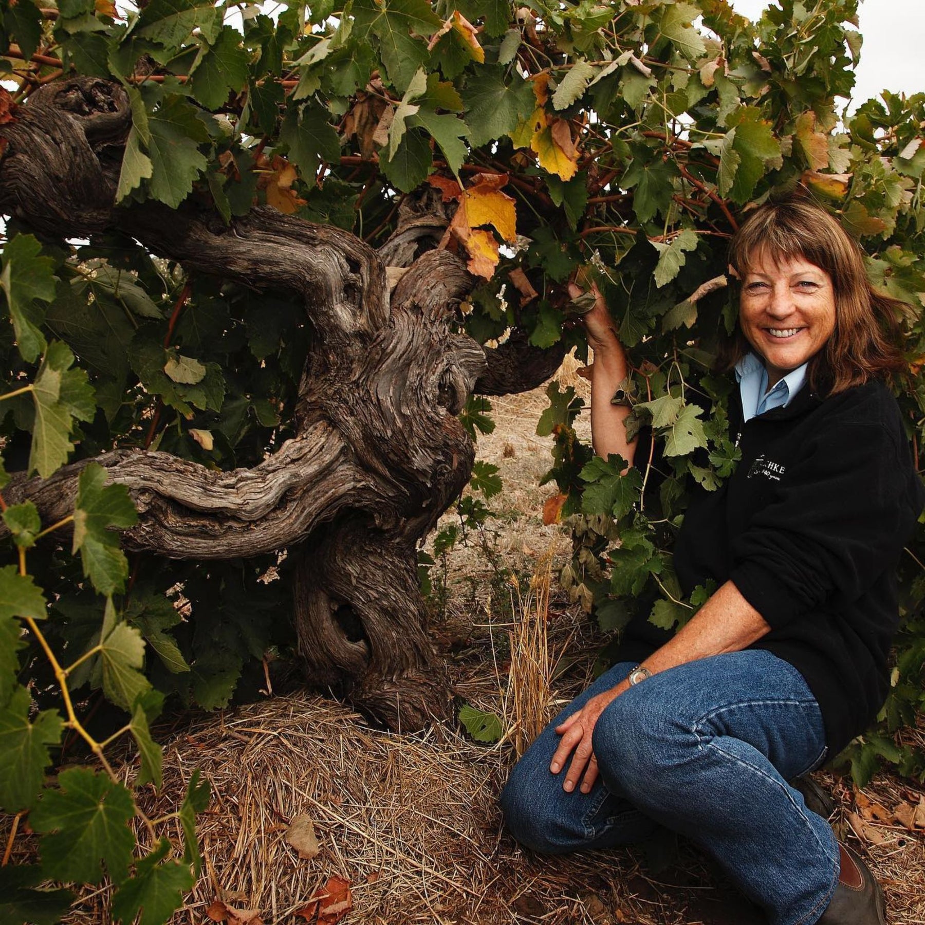 Henschke was also named the Winery of the Year by the prestigious Halliday Wine Companion, solidifying their position as a leader in the industry. Additionally, Henschke's unwavering commitment to sustainability and environmentally conscious practices has been acknowledged with the prestigious Robert Parker Wine Advocate Green Emblem. This recognition highlights their remarkable efforts in reducing environmental impact while producing outstanding wines. - Kent Street Cellars