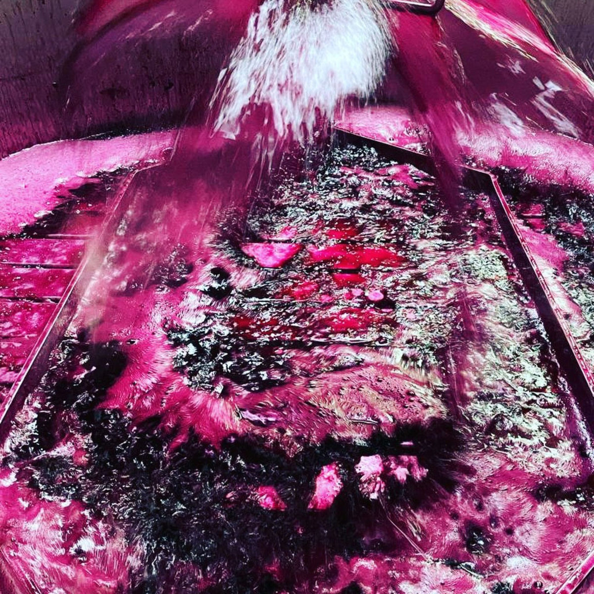 Henschke Red Wine Ferment - Kent Street Cellars