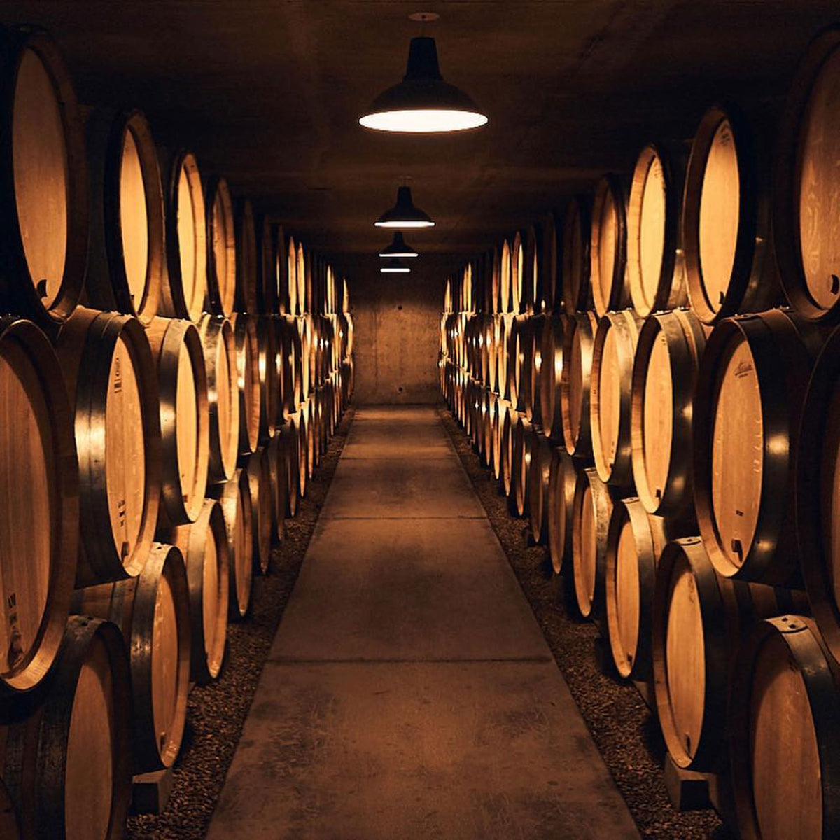 Pierre-Yves Colin-Morey Saint Aubin 1er Cru Marguerite 2021 - Kent Street Cellars