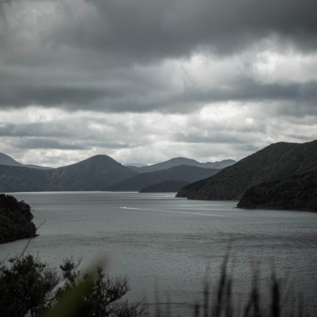 View from Catalina Sounds, Queen Charlotte Sounds - Kent Street Cellars
