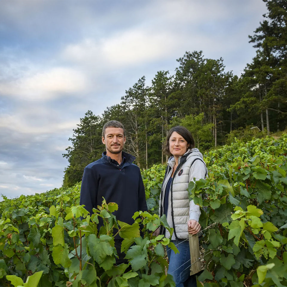 Domaine François Raveneau brand story
