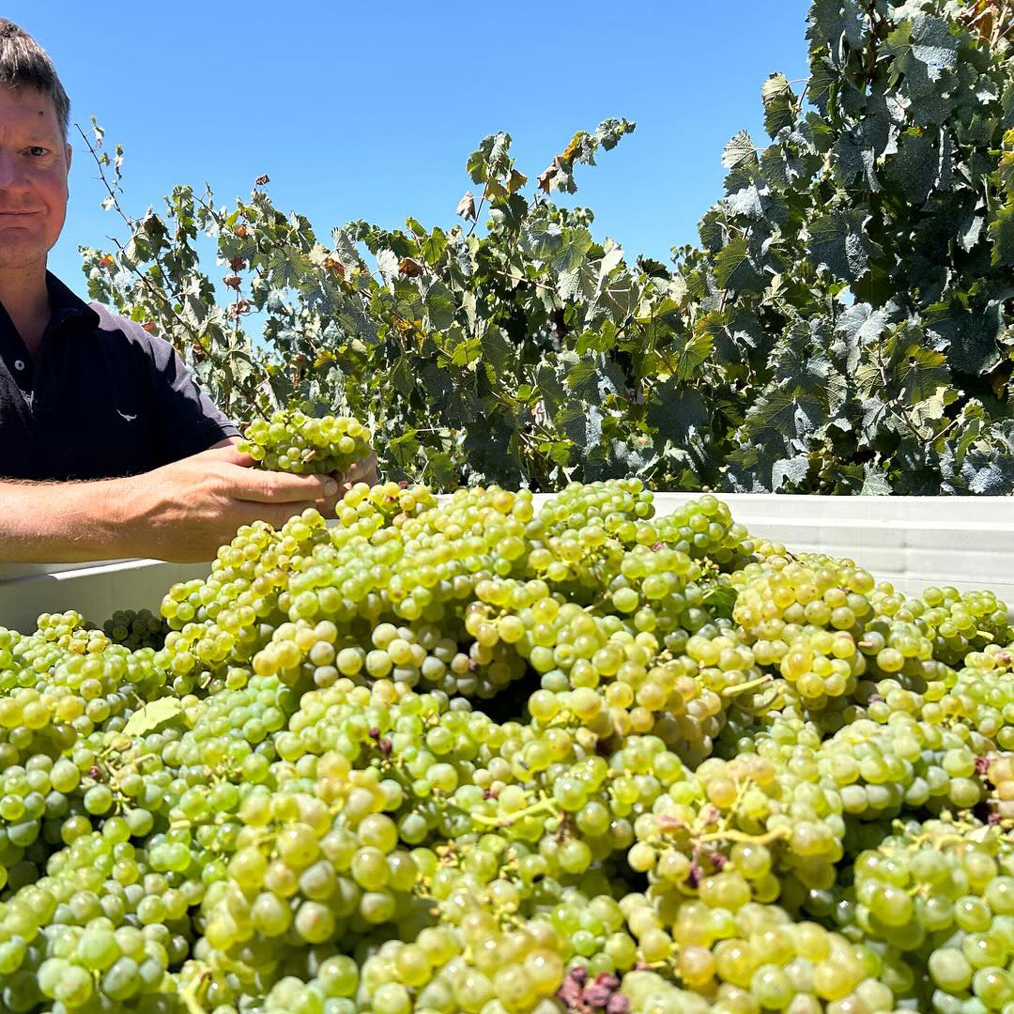 Philosophy | Rieslingfreak