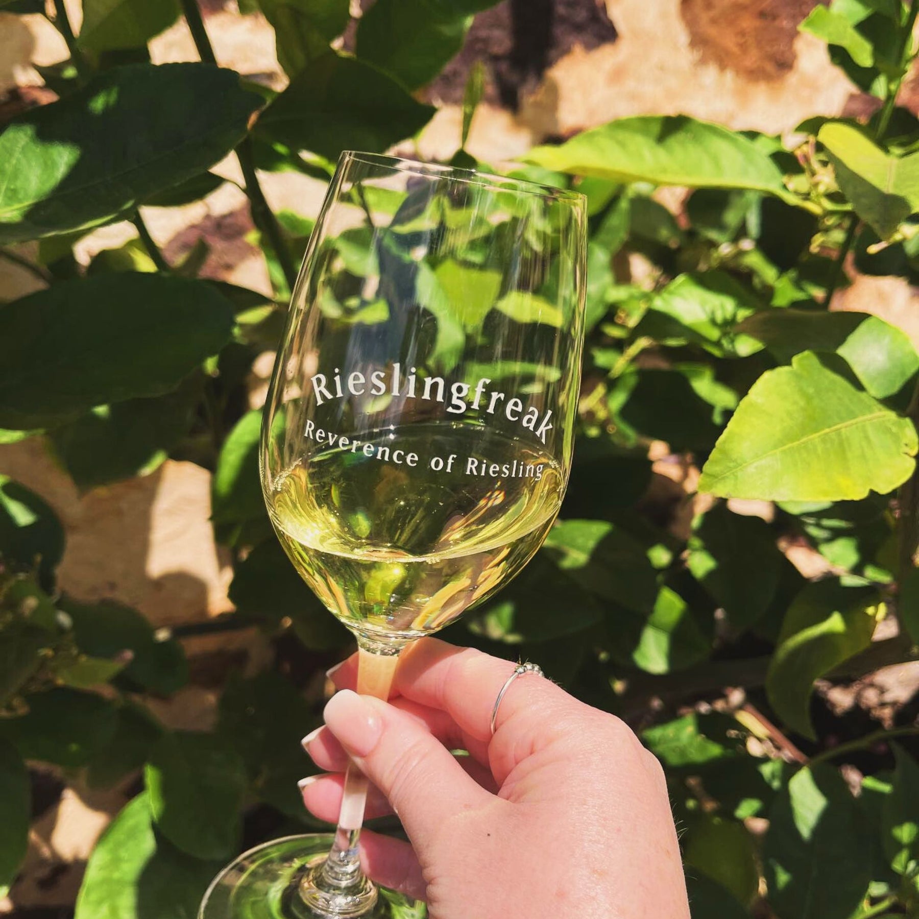 Featuring intensely perfumed aromas of Kaffir lime, guava, passionflower cut with that classical wet-slate of Eden Valley. - Kent Street Cellars
