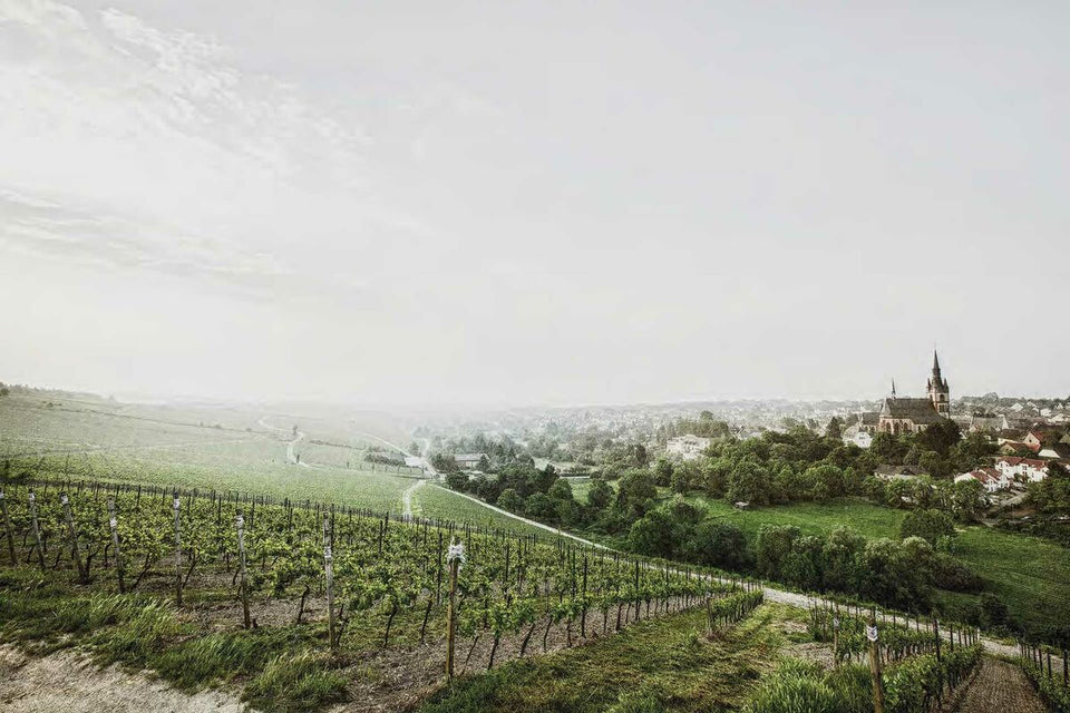 The Vineyard brand story