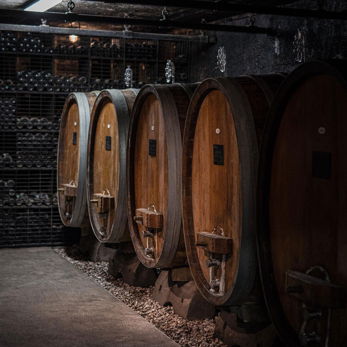 Robert Weil Monte Vacano Riesling Trocken 2021 - Kent Street Cellars