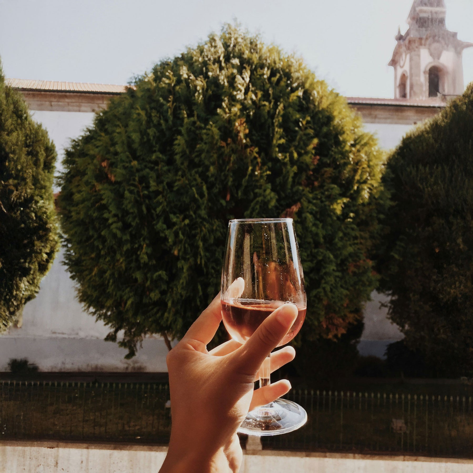 Amisfield Pinot Noir Rosé 2025