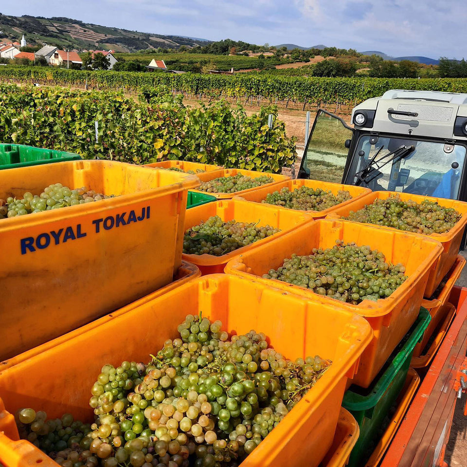 Royal Tokaji brand story