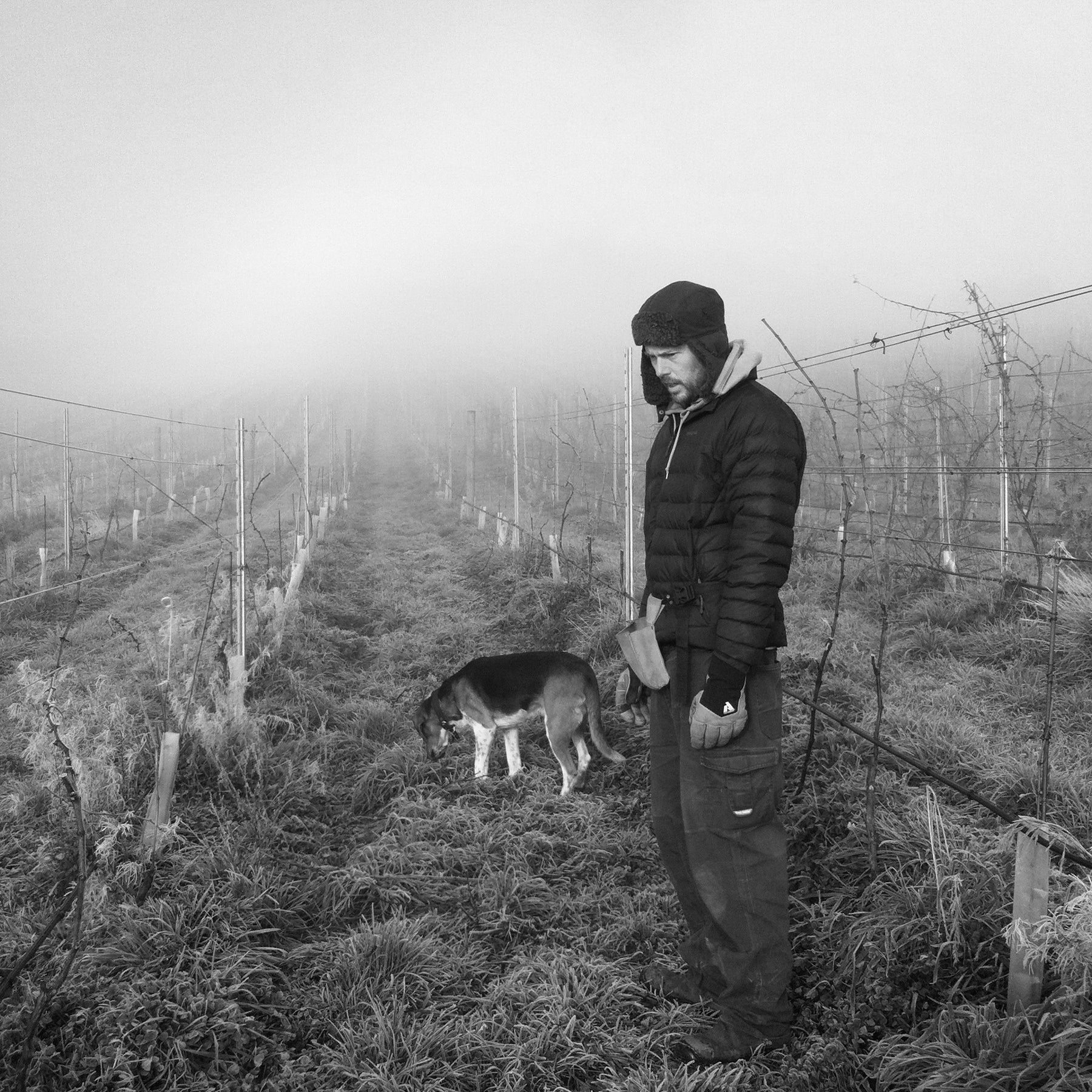 Sailor Seeks Horse Huldufolk Pinot Noir 2023