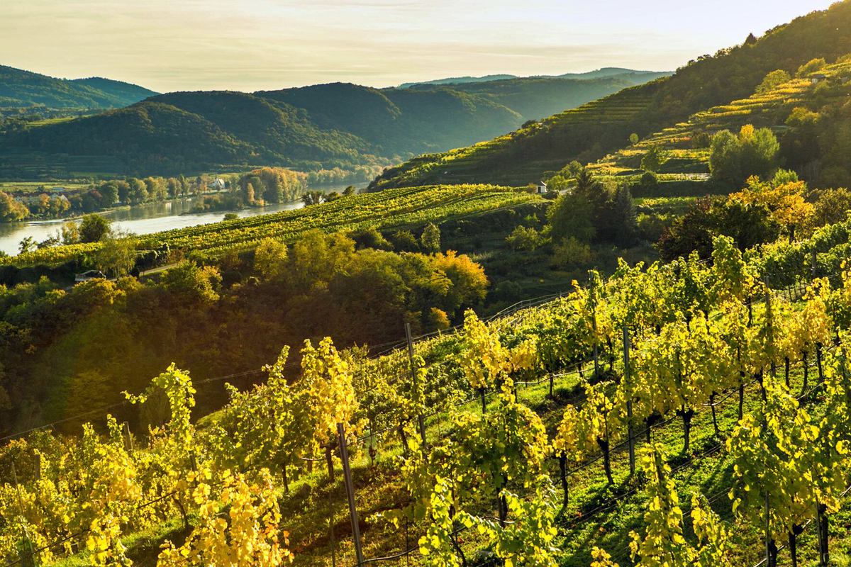 Salomon Undhof Riesling Kögl 1ÖTW Kremstal 2022 - Kent Street Cellars