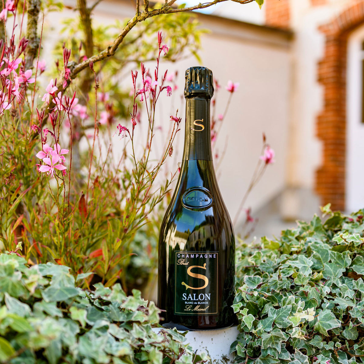 Champagne Salon Le Mesnil Blanc de Blancs 2007