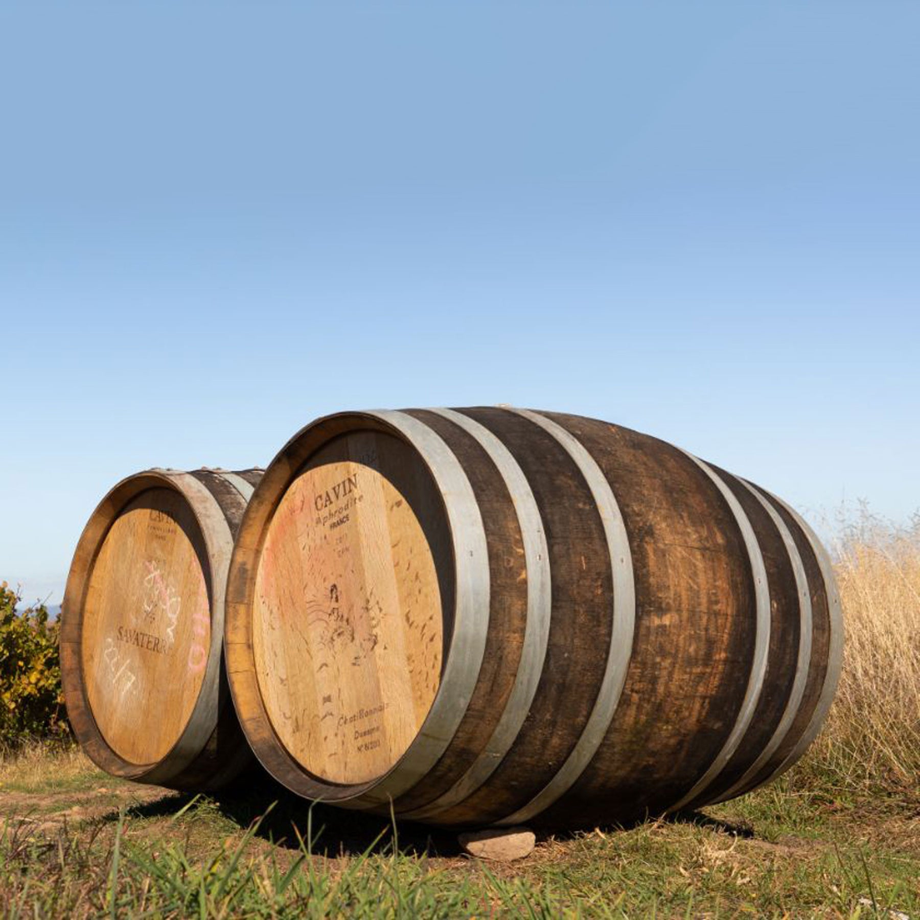 Savaterre Chardonnay 2022 - Kent Street Cellars