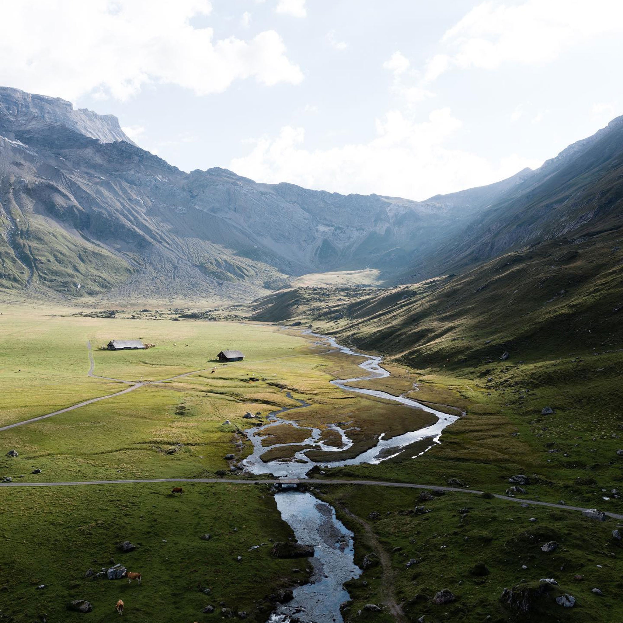 Talisker Storm Single Malt Scotch Whisky 700ml