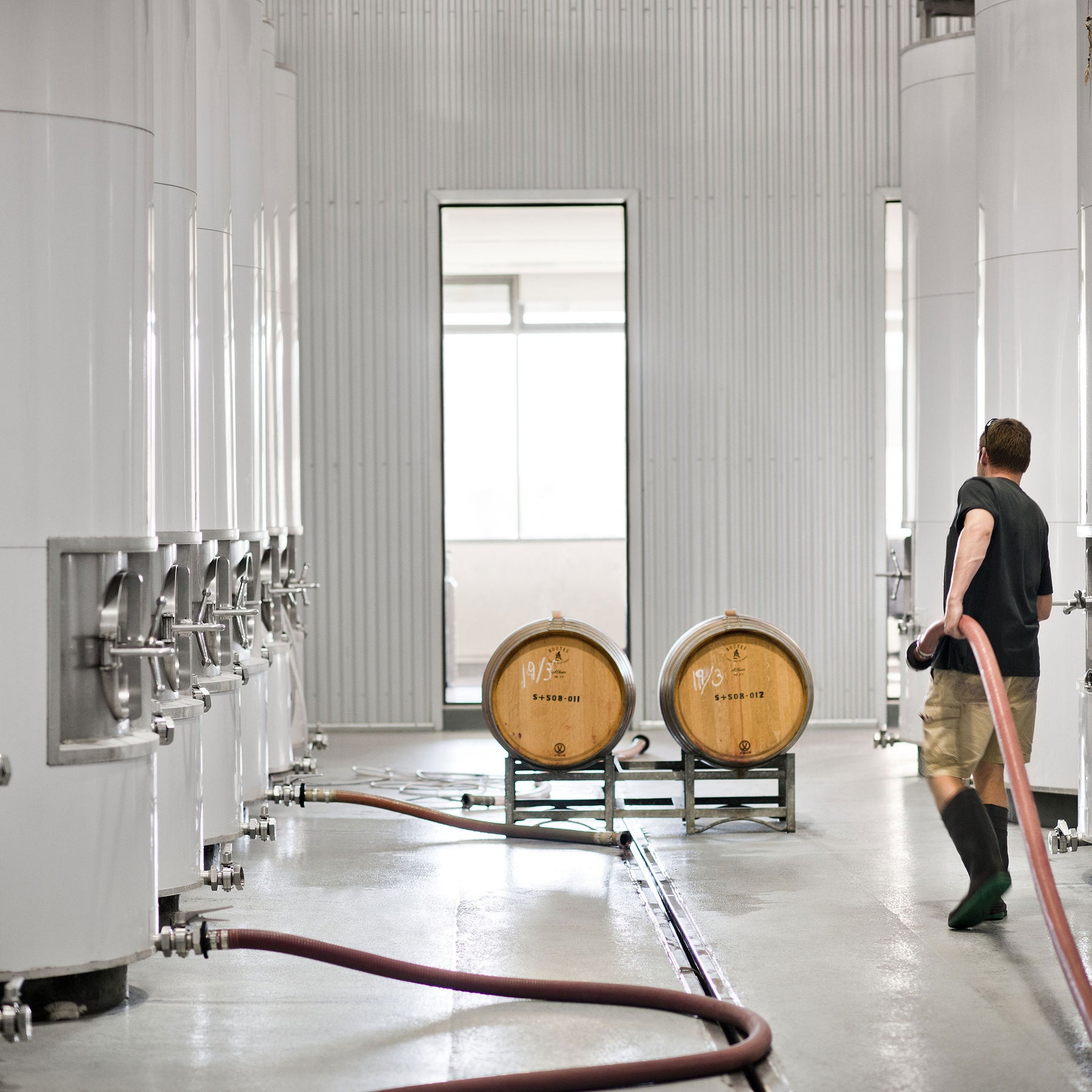 Shaw + Smith Lenswood Vineyard Chardonnay 2022