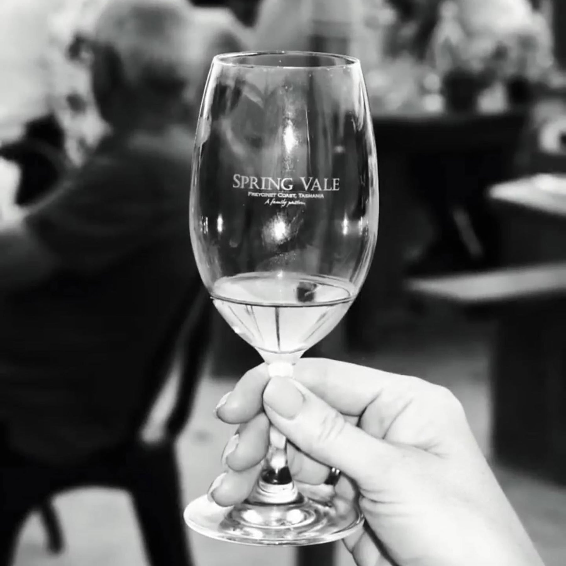 Spring Vale Melrose Pinot Noir 2025